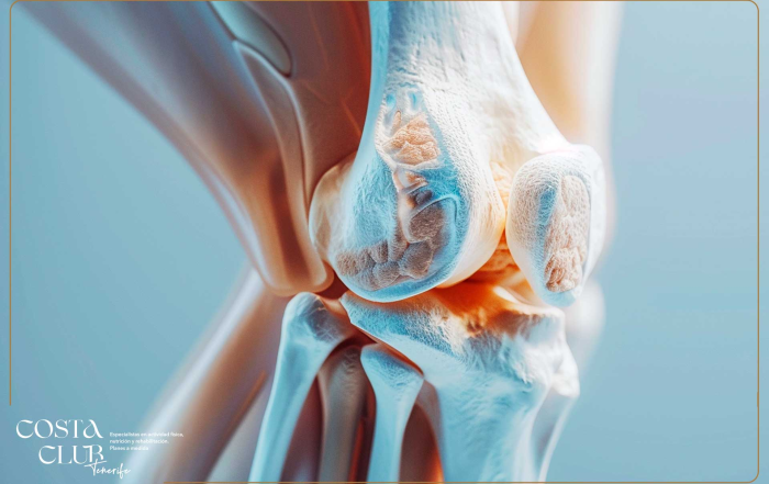La-articulación-de-la-rodilla--cómo-funciona-puntos-fuertes-y-puntos-débiles - Costa Club Tenerife anatomia de la rodilla