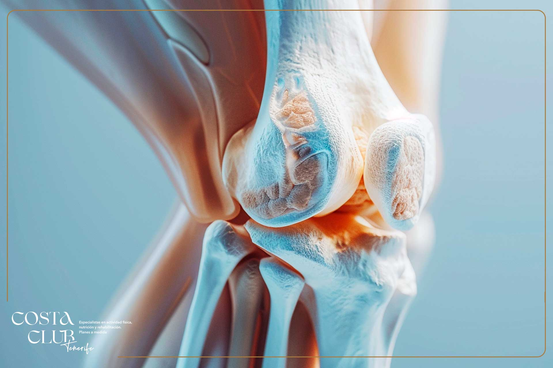 La-articulación-de-la-rodilla--cómo-funciona-puntos-fuertes-y-puntos-débiles - Costa Club Tenerife anatomia de la rodilla